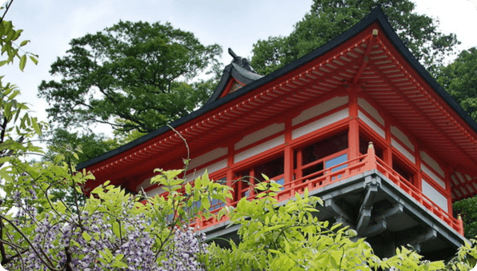 祐徳稲荷神社を写している様子