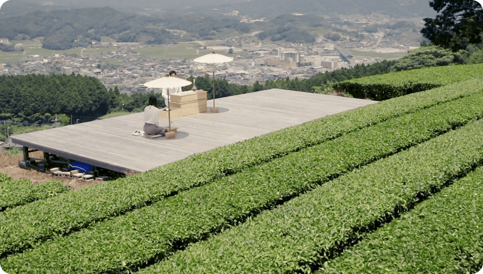 天茶台を写している様子