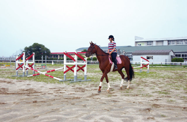 馬術場